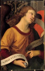 Un ange. Fragment du retable de Baronci. Peinture de Raffaello Sanzio dit Raphaël (1483-1520)