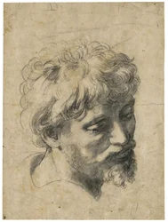 « Portrait de jeune apôtre » (Tête de jeune apôtre). Fusain sur papier de Raphaël (Raffaello Sanzio) (1483-1520). Collection privée