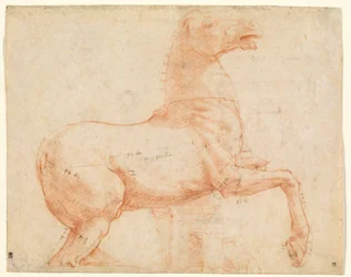 Un cheval en marbre sur la colline du Quirinal (recto)