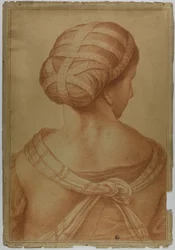 Muse vue de dos