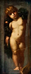 Putto avec guirlande, vers 1510, vers 1912