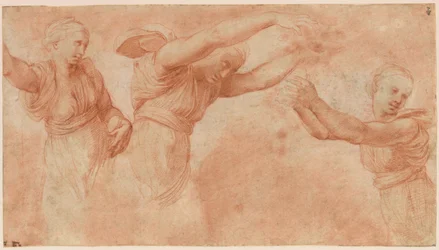 Étude pour les dieux célébrant le mariage de Psyché et Cupidon, 1518-1519