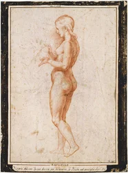 Jeune figure féminine de profil