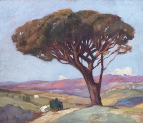 Paysage avec pin parasol (huile sur bois)
