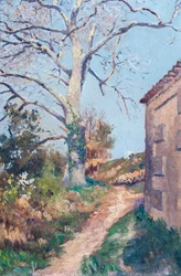 Chemin avec coin de maison et platane, 18-21 mars