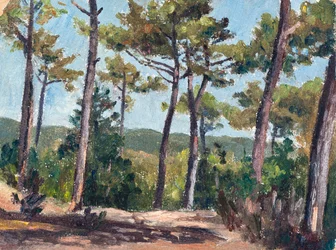 Forêt de pins (huile sur carton)