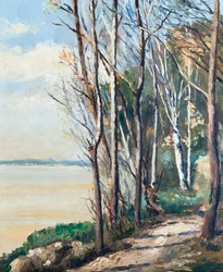 Sentier au bord de l