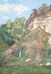 Arbres devant une petite falaise