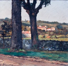 Deux arbres devant un mur