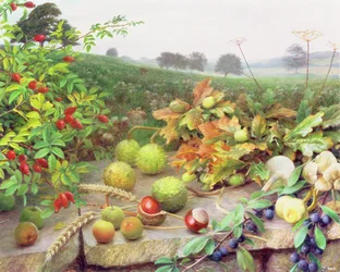 La cueillette dans la nature