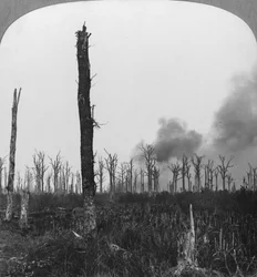 Obus explosifs éclatant dans le bois de Mametz, France, Première Guerre mondiale, 1916