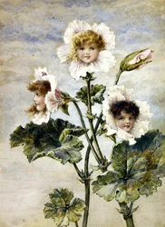 Géranium et pois de senteur - Enfants des fleurs - une paire