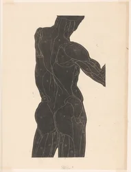 Étude anatomique des muscles du dos et des fesses d