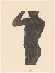 Étude anatomique des muscles du dos et des fesses d