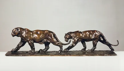 Deux Jaguars