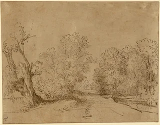 Une route boisée