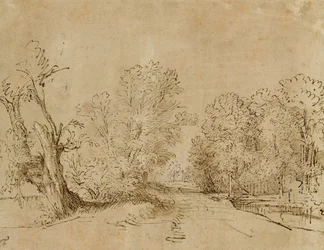 Une route boisée