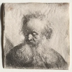 Vieil homme à la barbe naissante : Buste