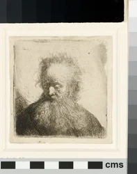Vieil homme à la barbe flottante : buste