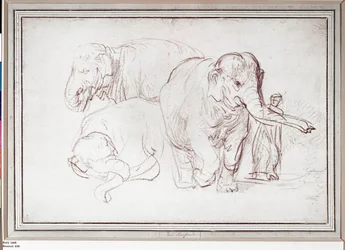 Trois éléphants. Dessin au crayon (dessin)