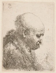 Homme chauve (le père de Rembrandt ) vu de profil à droite ; petit buste
