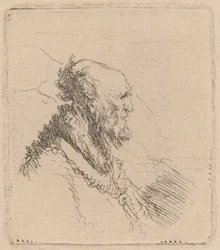 Vieil homme chauve avec une courte barbe de profil