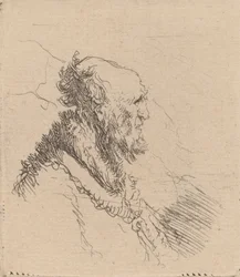 Vieil homme chauve avec une courte barbe de profil