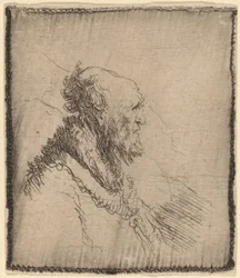 Vieil homme chauve avec une courte barbe de profil