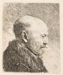 Homme chauve de profil (le père de Rembrandt?)