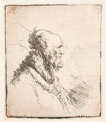 Vieil homme chauve avec une courte barbe, de profil à droite