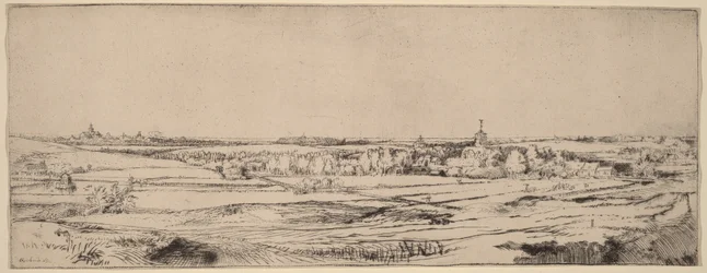 Paysage avec vue sur Haarlem (Le champ des peseurs d