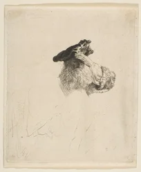 Vieil homme se protégeant les yeux avec la main, vers 1639.