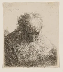 Vieil homme à la barbe flottante (tête inclinée vers l