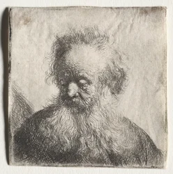 Vieil homme à la barbe flottante : Buste