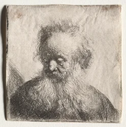 Vieil homme à la barbe flottante : Buste, 1631