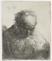 Vieil homme à la barbe flottante, épaule gauche non ombrée; Buste d