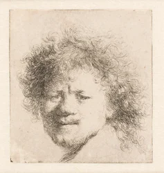 Rembrandt aux cheveux longs et touffus : tête seule