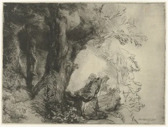 Saint François sous un arbre, priant
