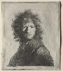 Autoportrait fronçant les sourcils : Buste