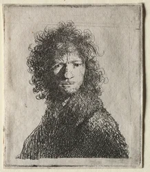 Autoportrait fronçant les sourcils : Buste, 1630