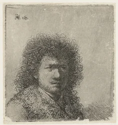Autoportrait avec cheveux touffus : buste