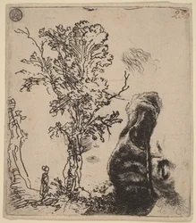 Feuille comportant deux études : un arbre et la partie supérieure d