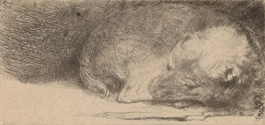 Chiot endormi, vers 1640