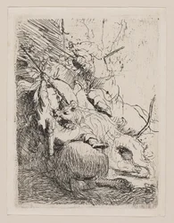 La petite chasse au lion (avec un lion)