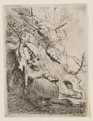 La chasse au petit lion (avec un lion)