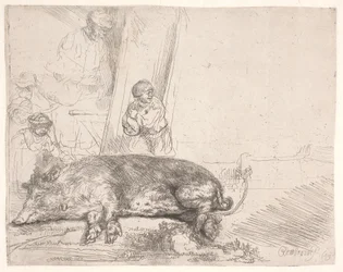 Le cochon