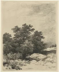 Paysage avec arbres