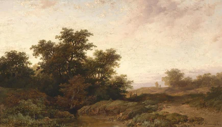 Paysage ouvert dans la lumière du soir