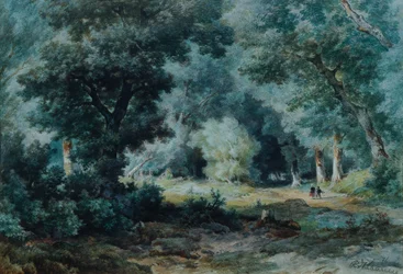 Intérieur de forêt