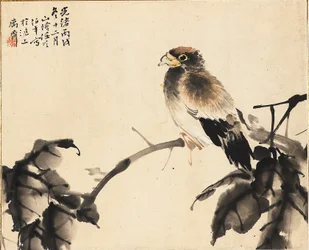 Oiseau sur une branche